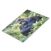 Bloc-note Gorilla Animal Nature Faune Affection Soin (Incliné)
