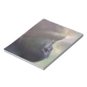 Bloc-note Gorilla, Daydream (Tourné)