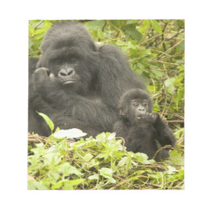 Bloc-note Gorille des montagnes, Gorilla beringei (anciennem