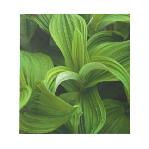 Bloc-note Gouttes de rosée sur un Helabore faux