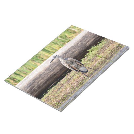 Bloc-note Grand Héron bleu debout dans le lac Champlain (Incliné)