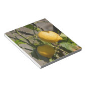 Bloc-note Graphiques Citron Espagnol (Incliné)