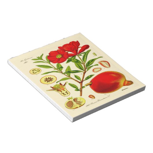 Bloc-note Grenade (Incliné)