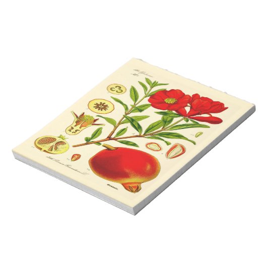 Bloc-note Grenade (Tourné)