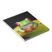 Bloc-note Grenouille aux yeux rouges, Agalychinis callidryas (Incliné)