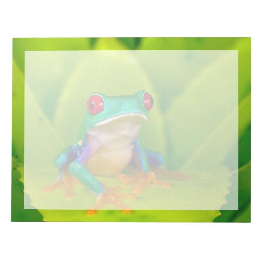 Bloc-note Grenouille aux yeux rouges, Costa Rica (Devant)
