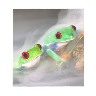 Bloc-note Grenouille aux yeux rouges dans le brouillard, Aga