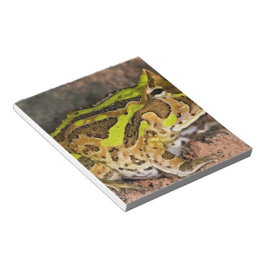 Bloc-note Grenouille corne brésilienne, Ceratophrys cornuta, (Incliné)