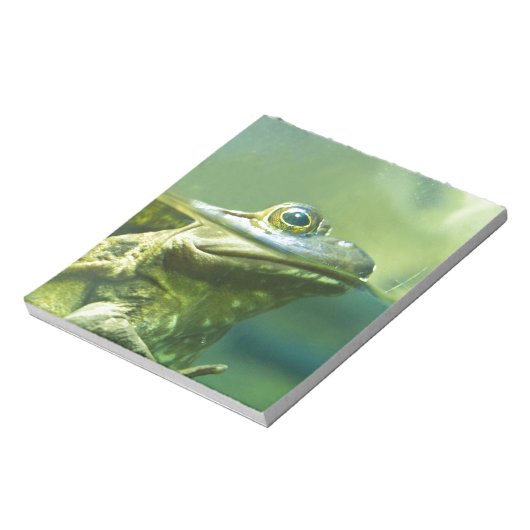 Bloc-note Grenouille grasse (Tourné)