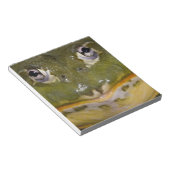 Bloc-note Grenouille-taureau, Pyxicephalus (Incliné)