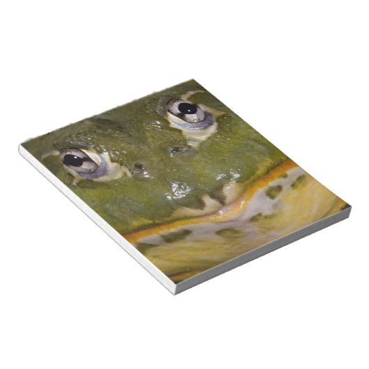 Bloc-note Grenouille-taureau, Pyxicephalus (Incliné)