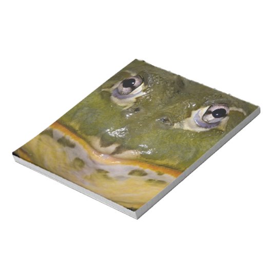 Bloc-note Grenouille-taureau, Pyxicephalus (Tourné)