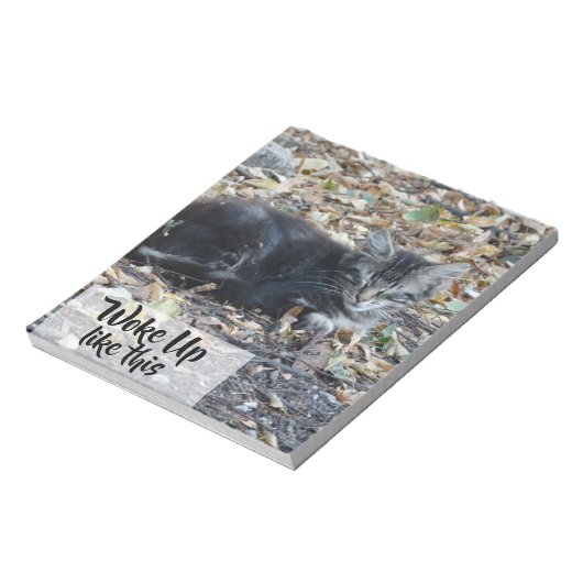 Bloc-note Grey Cat Funky Custom Text (Tourné)