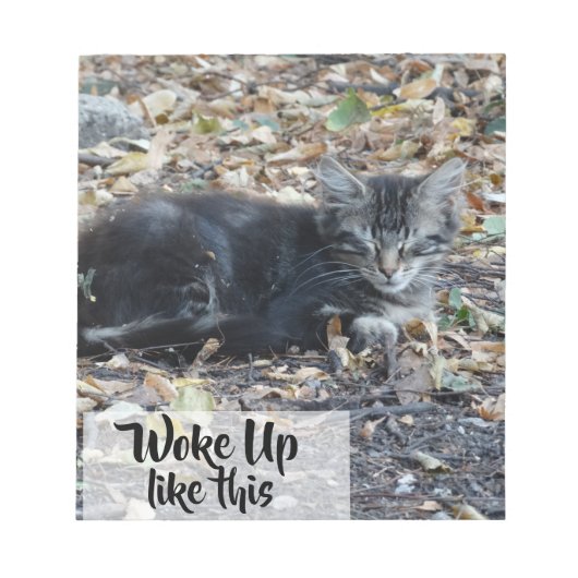 Bloc-note Grey Cat Funky Custom Text (Devant)