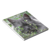 Bloc-note Gris Sibérie Kitten (Incliné)