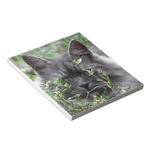 Bloc-note Gris Sibérie Kitten (Incliné)