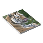 Bloc-note Grooming Tiger (Incliné)