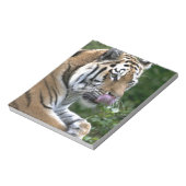 Bloc-note Grooming Tiger (Tourné)