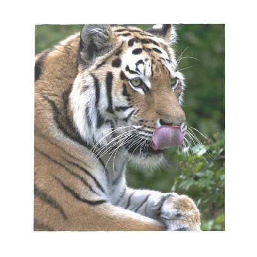 Bloc-note Grooming Tiger (Devant)