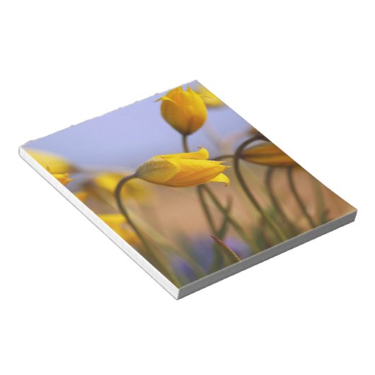 Bloc-note Gros plan des jonquilles (Incliné)