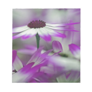 Bloc-note Gros plan sur une fleur violette, jardin Keukenhof