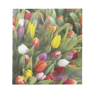 Bloc-note Groupes de tulipes colorées