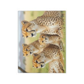 Bloc-note Guépard Animal Nature Faune Affection Tendresse (Tourné)