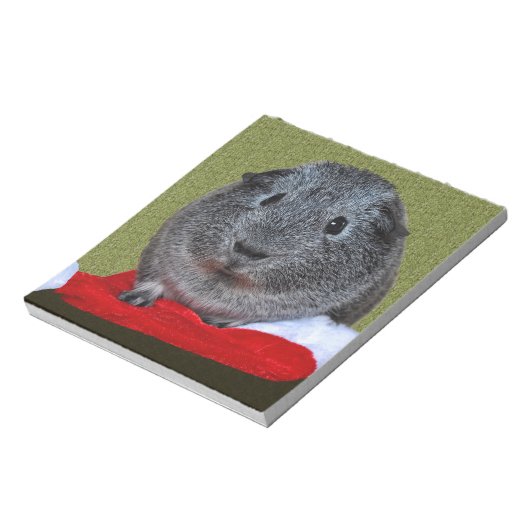 Bloc-note Guinea Pig Christmas (Tourné)