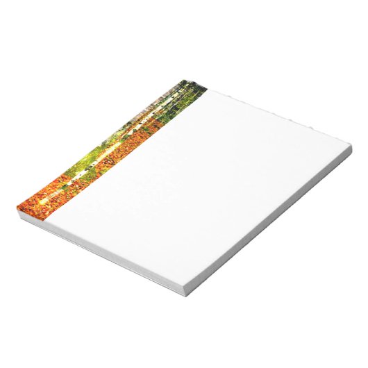 Bloc-note Gustav Klimt Birch Trees (Tourné)