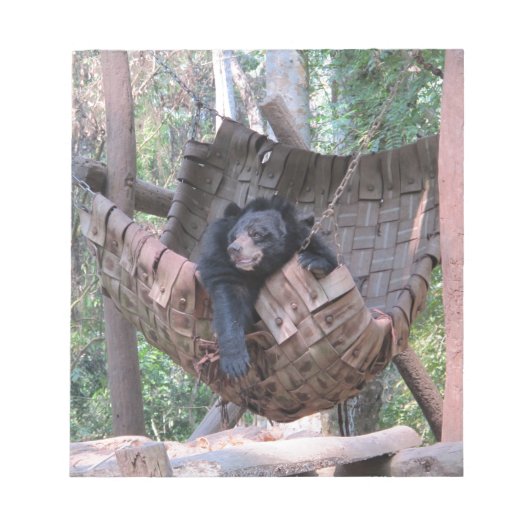 Bloc-note Hammock de l'ours endormi Parc Forest Trail Campin (Devant)
