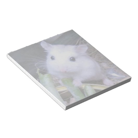 Bloc-note Hamster blanc (Incliné)