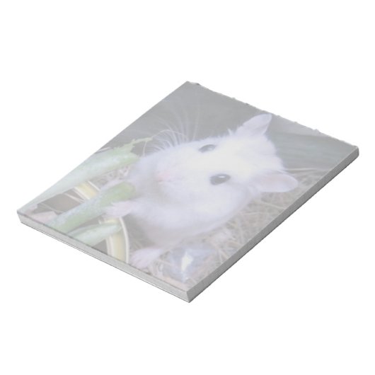 Bloc-note Hamster blanc (Tourné)