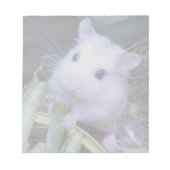 Bloc-note Hamster blanc (Devant)