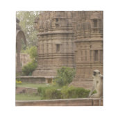 Bloc-note Hanuman Langurs ou noir, commun ou gris (Devant)