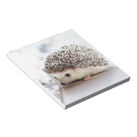 Bloc-note Hedgehog (Incliné)