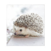 Bloc-note Hedgehog (Devant)