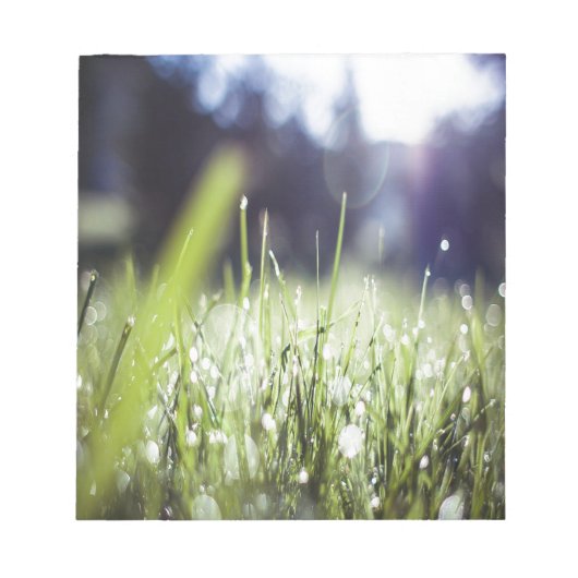 Bloc-note Herbe verte (Devant)