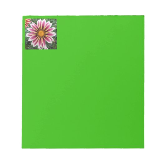 Bloc-note Hereford (Devant)