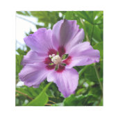 Bloc-note Hibiscus (Devant)
