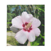 Bloc-note Hibiscus (Devant)