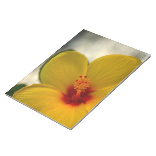 Bloc-note Hibiscus jaune (Incliné)