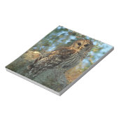 Bloc-note Hibou moyen-duc perché dans de la mousse d'Espagne (Tourné)