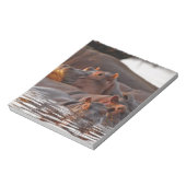 Bloc-note Hippopotamus, Hippopotamus amphibius, lac (Tourné)