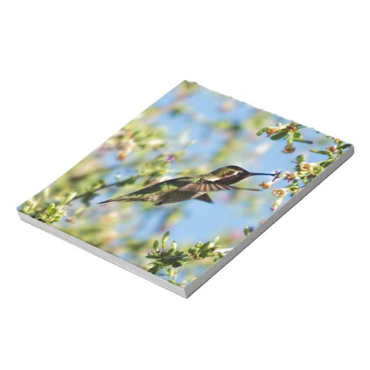 Bloc-note Humming Bird (Tourné)
