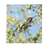 Bloc-note Humming Bird (Devant)
