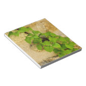 Bloc-note Hydrangea petiolaris (Incliné)