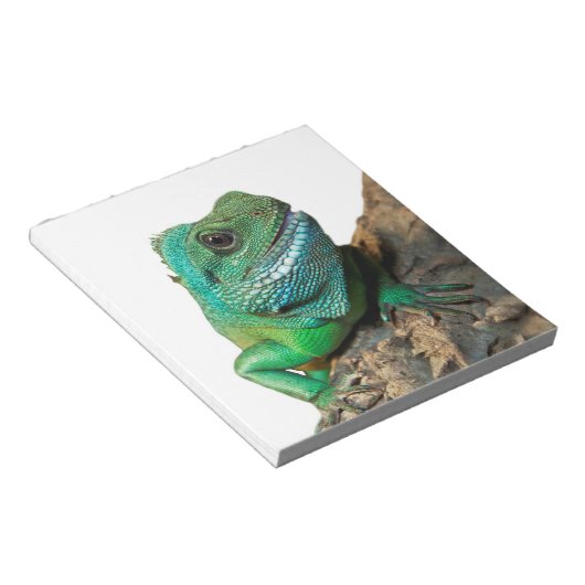 Bloc-note iguane vert (Incliné)