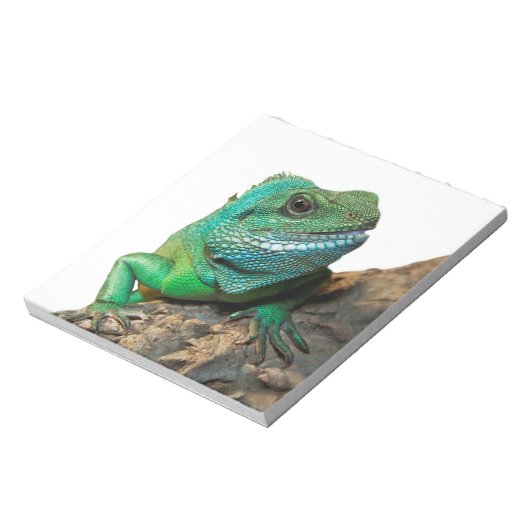 Bloc-note iguane vert (Tourné)