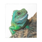 Bloc-note iguane vert (Devant)