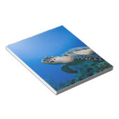 Bloc-note Iles Cayman, Île Little Cayman, Sous-marin 2 (Incliné)